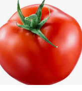 فروش گوجه فرنگی