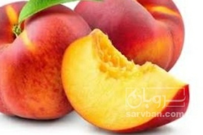 فروش شلیل