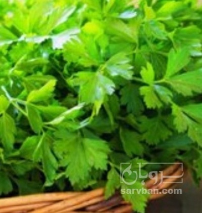 فروش جعفری تازه