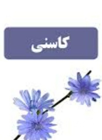 فروش عرق کاسنی