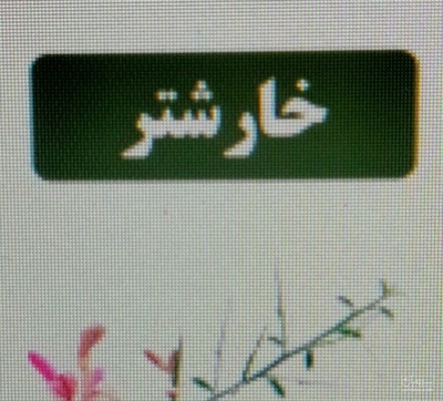 فروش عرق خارشتر