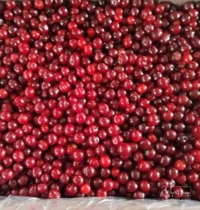 فروش آلبالو