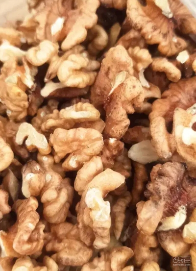 فروش گردو
