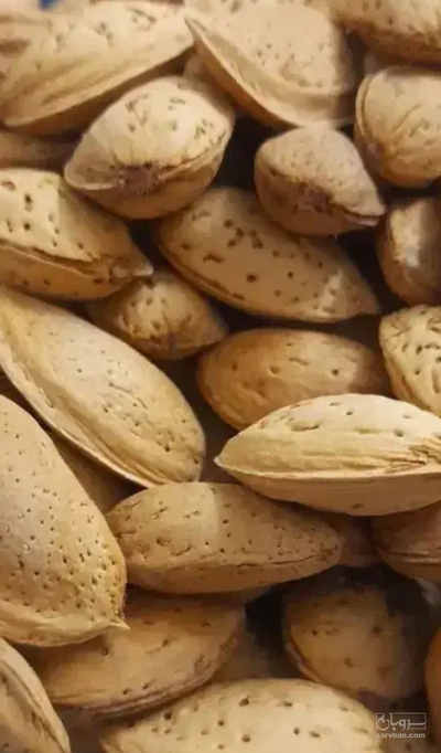 فروش بادام