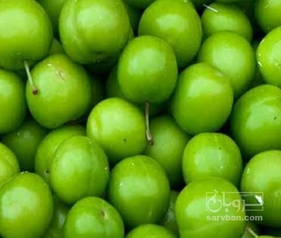 فروش گوجه سبز