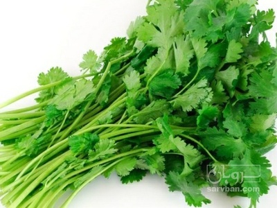 فروش جعفری تازه