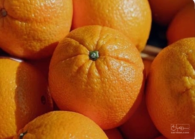 فروش پرتقال