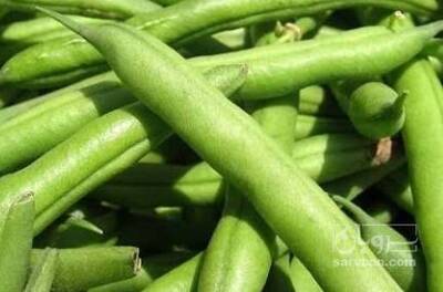 فروش لوبیا سبز