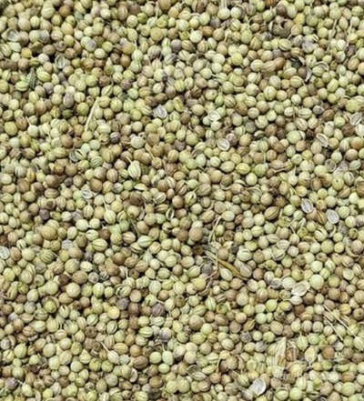فروش تخم گشنیز (گیاه‌ دارویی)
