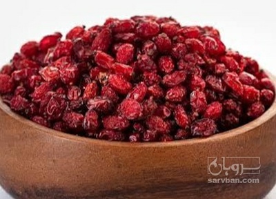 فروش زرشک اناری