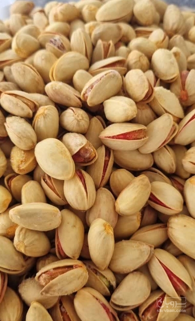 فروش پسته
