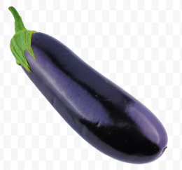 فروش بادمجان