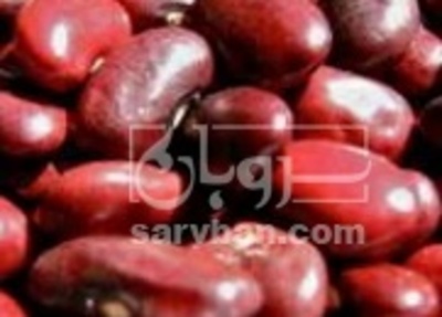 فروش لوبیا قرمز