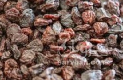 فروش مویز قرمز با هسته