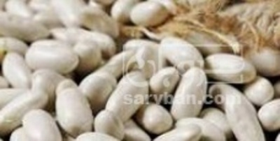 فروش لوبیا سفید