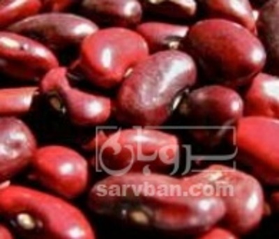 فروش لوبیا قرمز