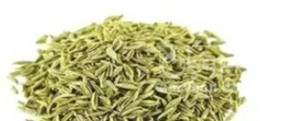 فروش زیره (گیاه‌ دارویی)