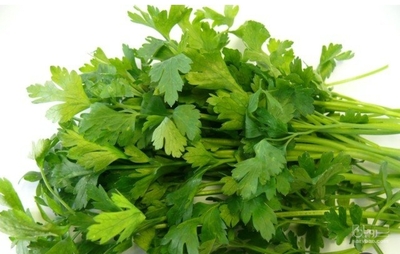 فروش جعفری تازه