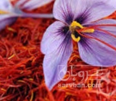 فروش زعفران (گیاه‌ دارویی)