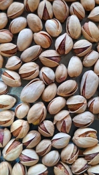 فروش پسته احمد اقایی