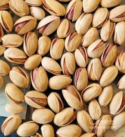 فروش پسته اکبری