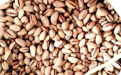 فروش پسته فندقی