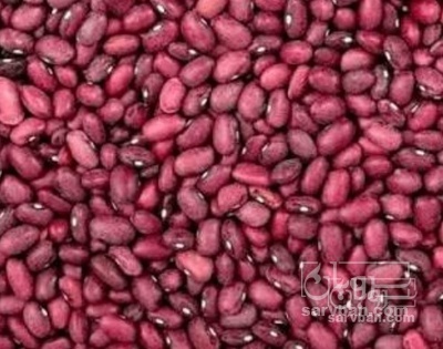 فروش لوبیا قرمز
