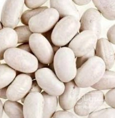 فروش لوبیا سفید