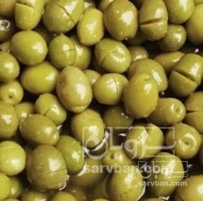 فروش زیتون جنگلی