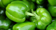 فروش فلفل دلمه ای