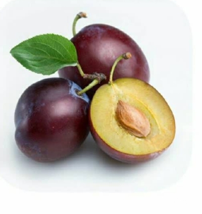 فروش آلو