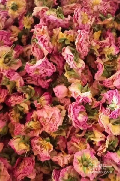 فروش گل محمدی (گیاه‌ دارویی)