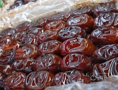 فروش خرما