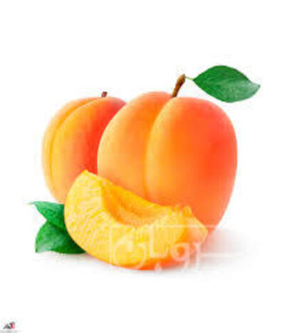 فروش زردآلو