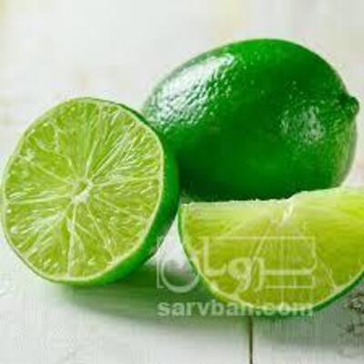 فروش لیمو ترش