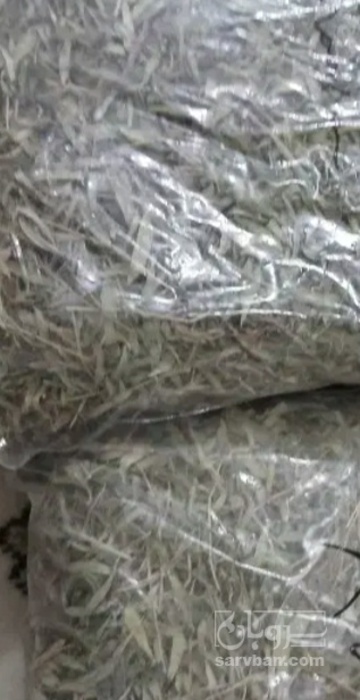 فروش آویشن خشک (گیاه‌ دارویی)
