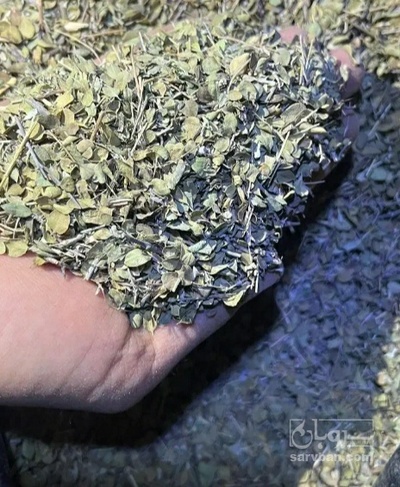 فروش گل آویشن (گیاه‌ دارویی)