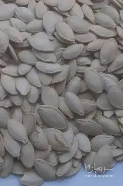 فروش تخمه  کدو بو داده