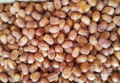 فروش خرما