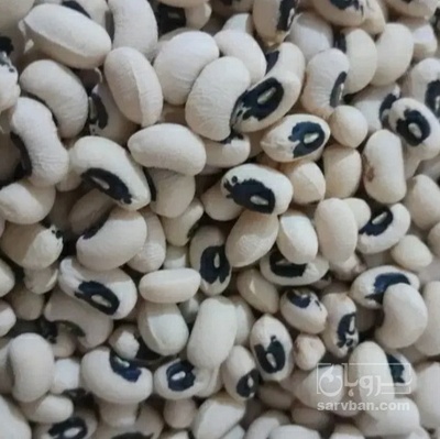 فروش لوبیا چشم بلبلی