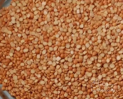 فروش نخود کفتری - لپه