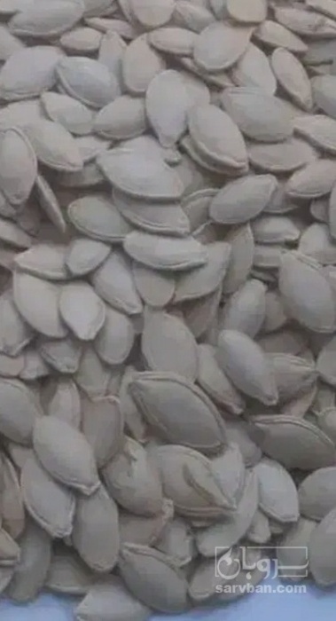 فروش تخمه  کدو بو داده