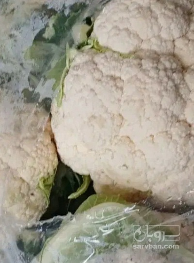 فروش گل کلم