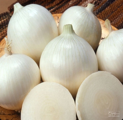 فروش پیازسفید