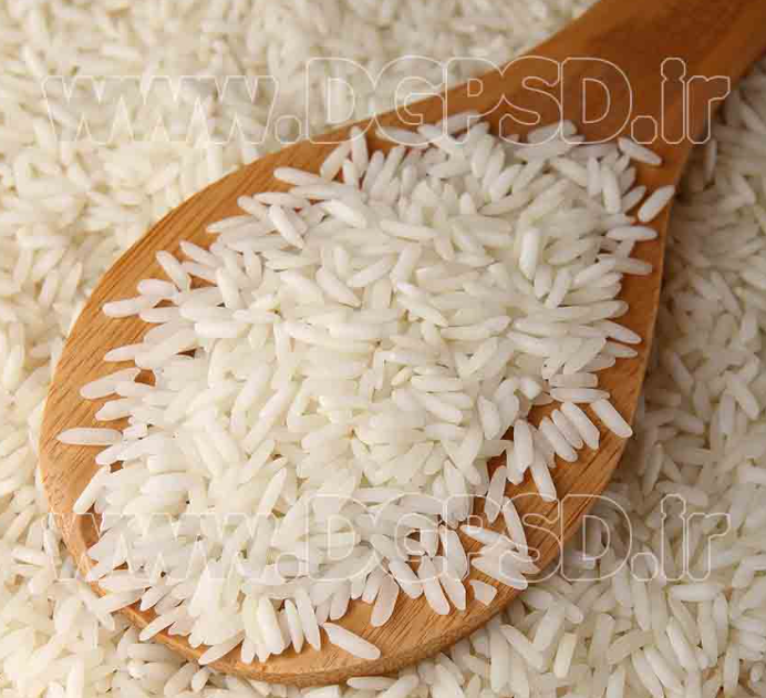 فروش برنج کامفیروزی