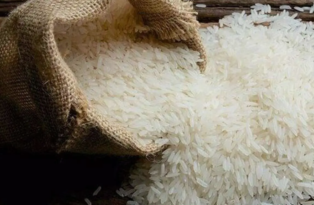 فروش برنج کامفیروزی