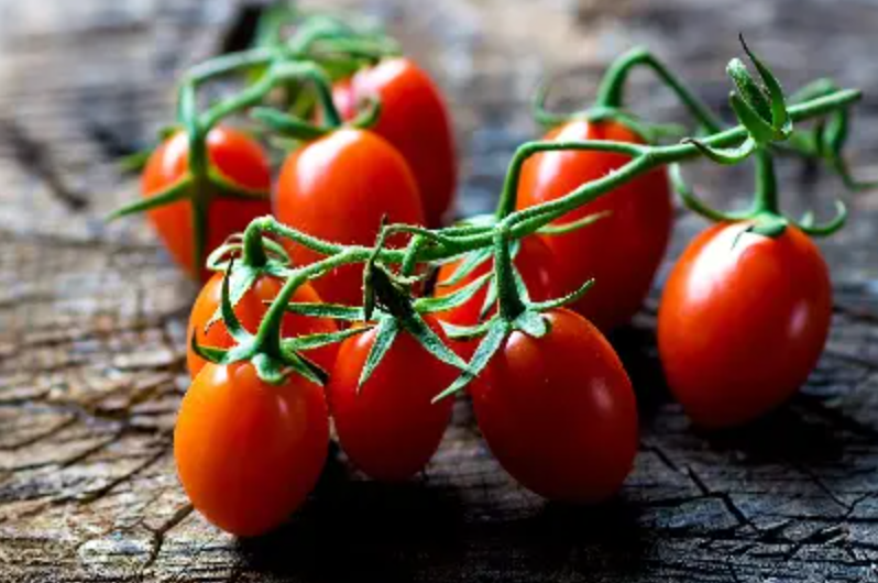 فروش گوجه فرنگی