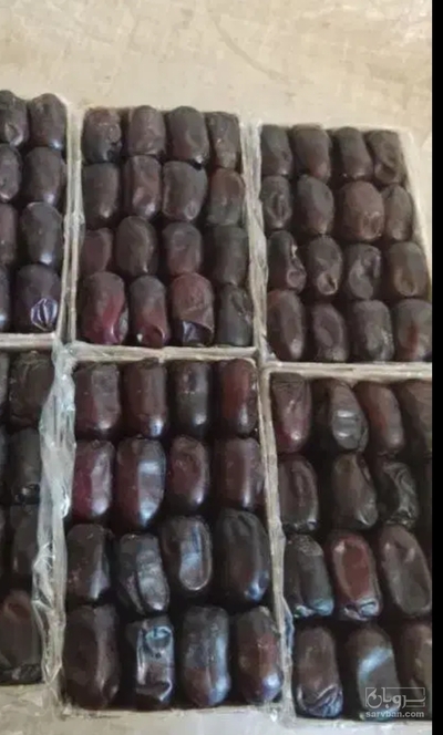 فروش خرما مضافتی