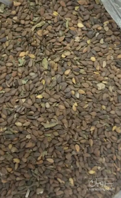 فروش کنجد