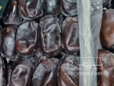 فروش خرما